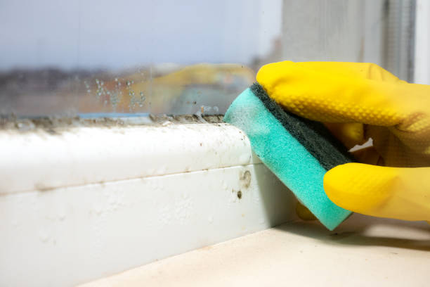 Best Mold Prevention Services  in Adel, GA